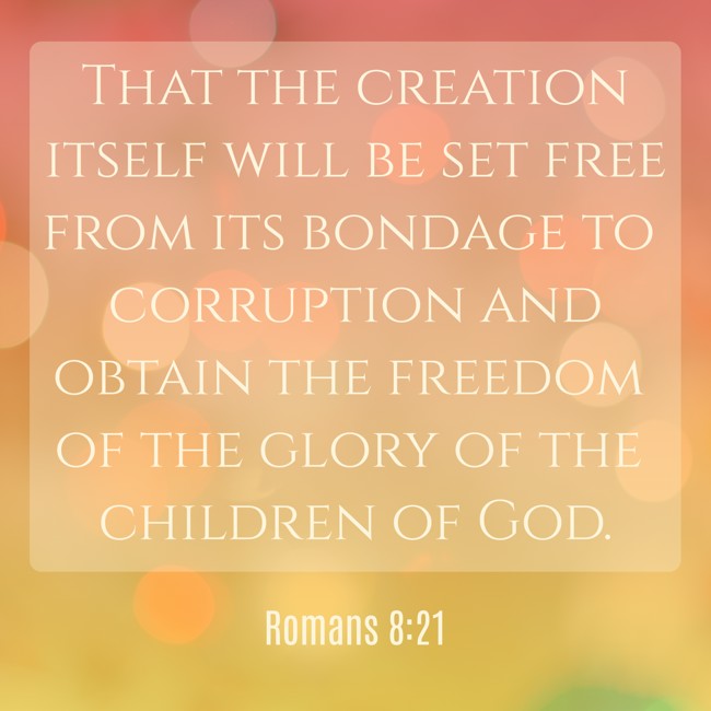 That the creation itself will be set free from its bondage to corruption and obtain the freedom of the glory of the children of God. - Romans 8:21