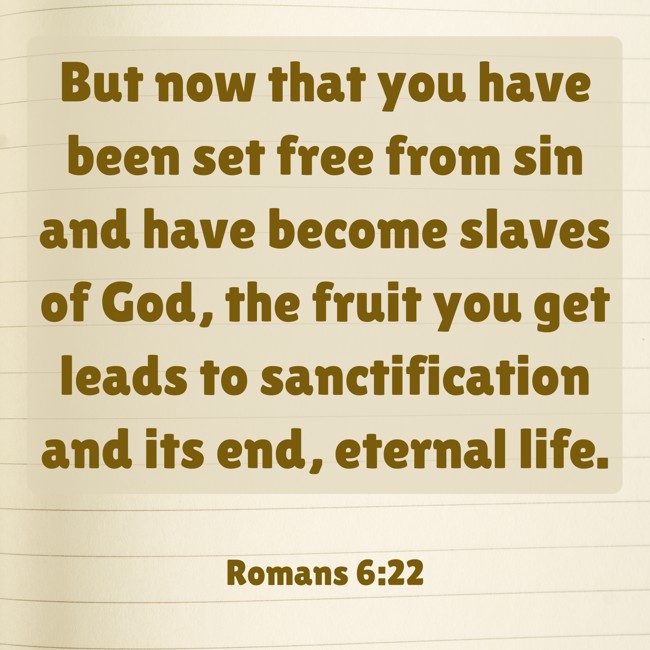 But now that you have been set free from sin and have become slaves of God, the fruit you get leads to sanctification and its end, eternal life. - Romans 6:22