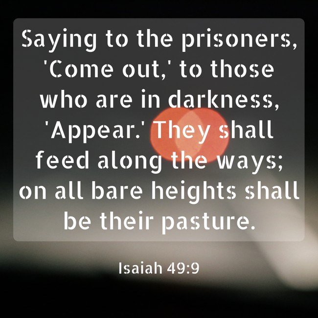 Saying to the prisoners, 'Come out,' to those who are in darkness, 'Appear.' They shall feed along the ways; on all bare heights shall be their pasture. - Isaiah 49:9