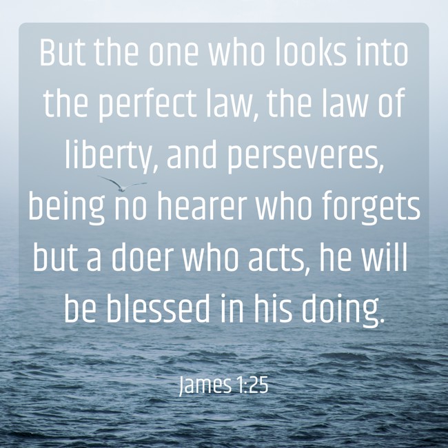 But the one who looks into the perfect law, the law of liberty, and perseveres, being no hearer who forgets but a doer who acts, he will be blessed in his doing. - James 1:25