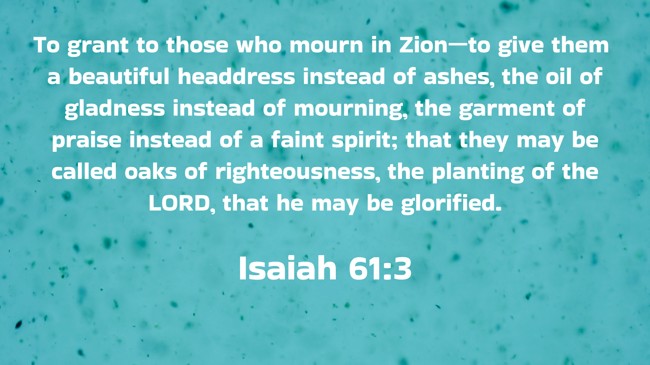 To grant to those who mourn in Zion—to give them a beautiful headdress instead of ashes, the oil of gladness instead of mourning, the garment of praise instead of a faint spirit; that they may be called oaks of righteousness, the planting of the LORD, that he may be glorified. - Isaiah 61:3