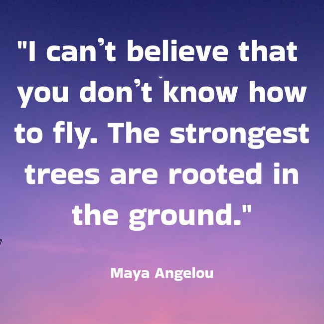 I can’t believe that you don’t know how to fly. The strongest trees are rooted in the ground. - Maya Angelou