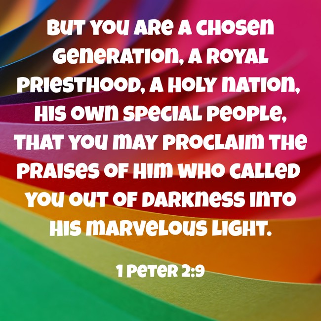 But you are a chosen generation, a royal priesthood, a holy nation, His own special people, that you may proclaim the praises of Him who called you out of darkness into His marvelous light. - 1 Peter 2:9