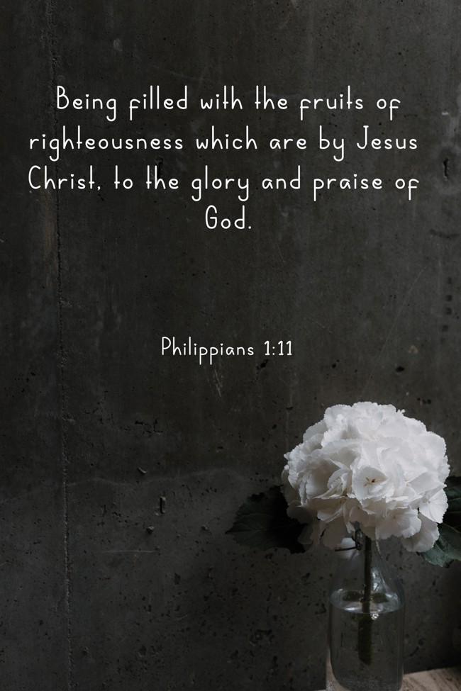 Being filled with the fruits of righteousness which are by Jesus Christ, to the glory and praise of God. - Philippians 1:11