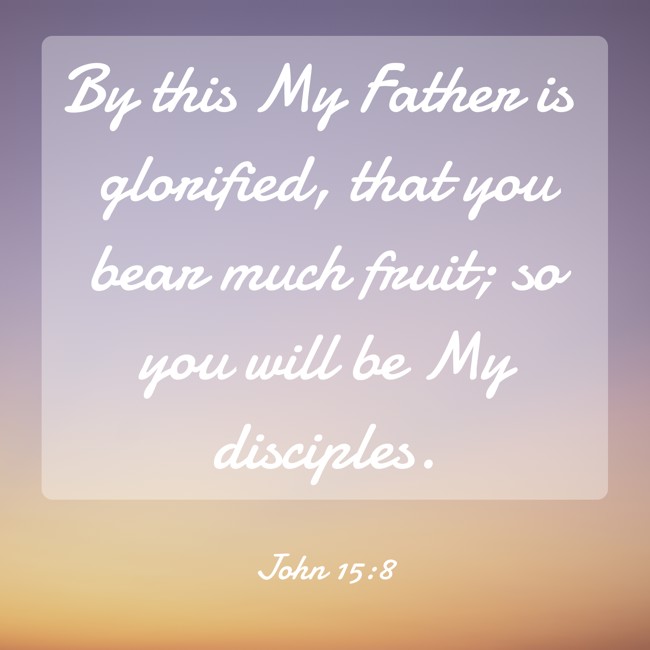 By this My Father is glorified, that you bear much fruit; so you will be My disciples. - John 15:8