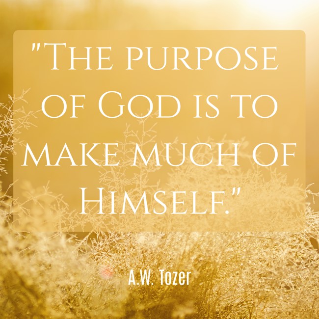 The purpose of God is to make much of Himself. - A.W. Tozer