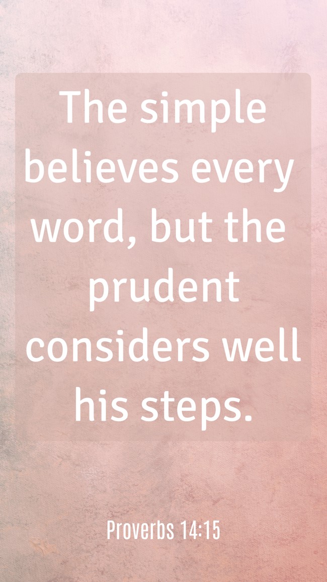 The simple believes every word, but the prudent considers well his steps. - Proverbs 14:15