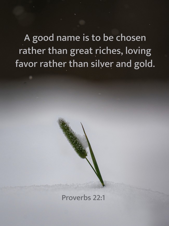 A good name is to be chosen rather than great riches, loving favor rather than silver and gold. - Proverbs 22:1
