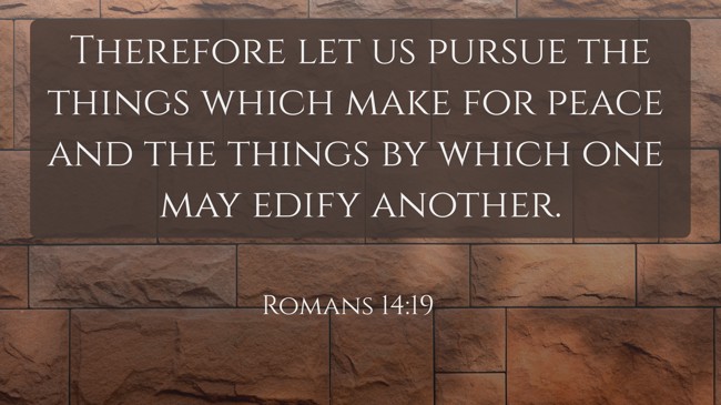 Therefore let us pursue the things which make for peace and the things by which one may edify another. - Romans 14:19