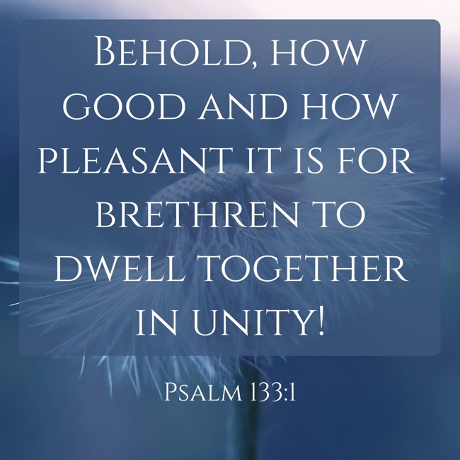 Behold, how good and how pleasant it is for brethren to dwell together in unity! - Psalm 133:1