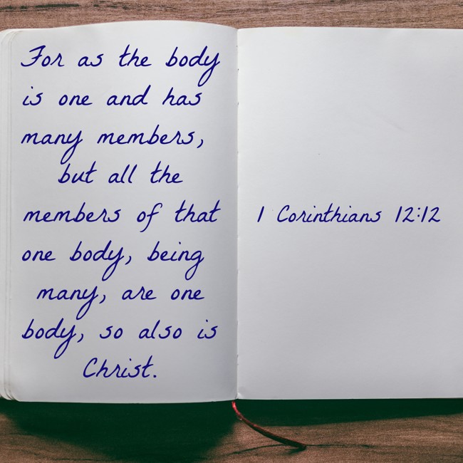 For as the body is one and has many members, but all the members of that one body, being many, are one body, so also is Christ. - 1 Corinthians 12:12