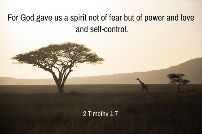 For God gave us a spirit not of fear but of power and love and self-control. - 2 Timothy 1:7