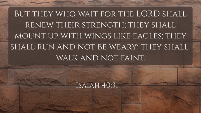 But they who wait for the LORD shall renew their strength; they shall mount up with wings like eagles; they shall run and not be weary; they shall walk and not faint. - Isaiah 40:31