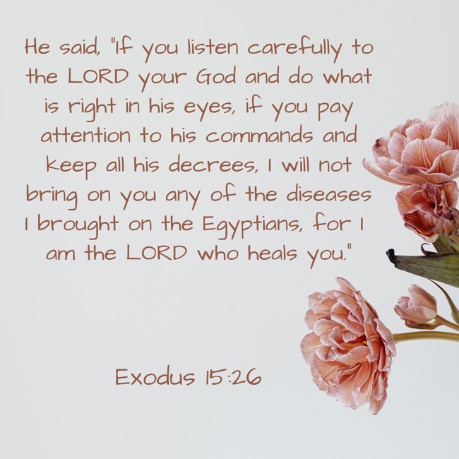He said, “If you listen carefully to the LORD your God and do what is right in his eyes, if you pay attention to his commands and keep all his decrees, I will not bring on you any of the diseases I brought on the Egyptians, for I am the LORD who heals you.” - Exodus 15:26