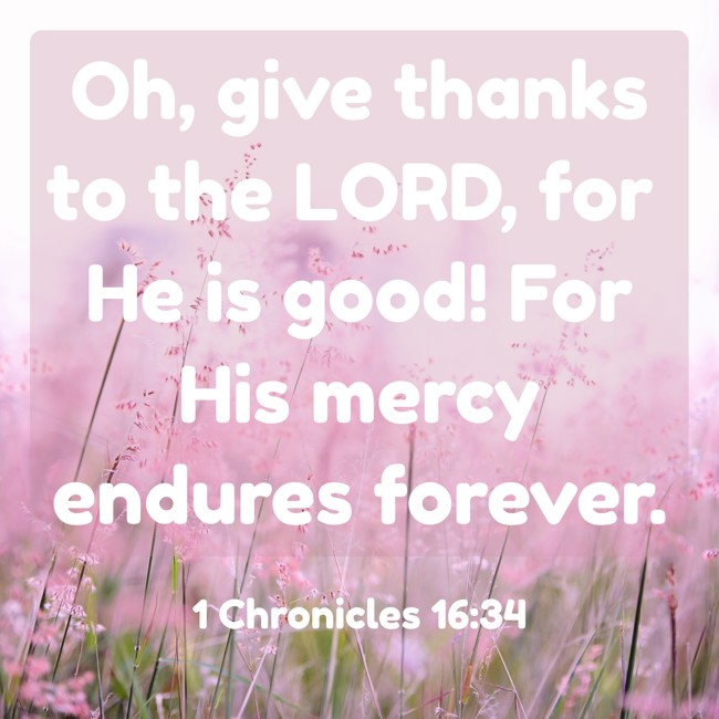 Oh, give thanks to the LORD, for He is good! For His mercy endures forever. - 1 Chronicles 16:34