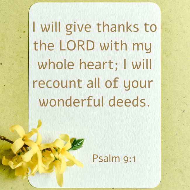 I will give thanks to the LORD with my whole heart; I will recount all of your wonderful deeds. - Psalm 9:1