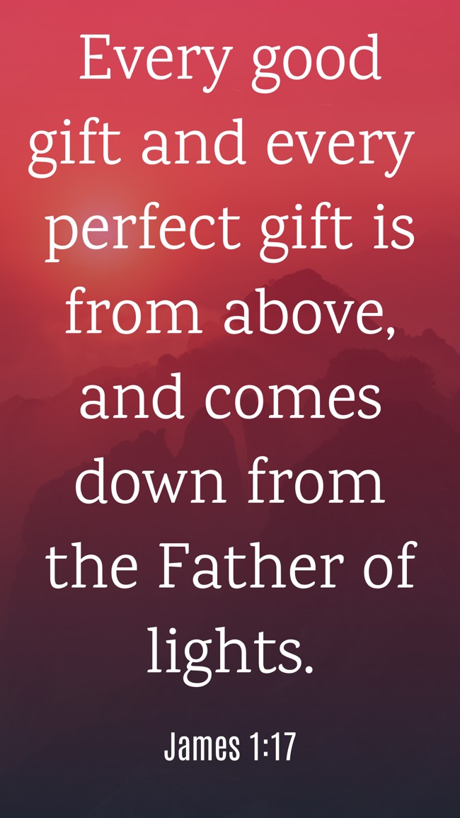 Every good gift and every perfect gift is from above, and comes down from the Father of lights. - James 1:17