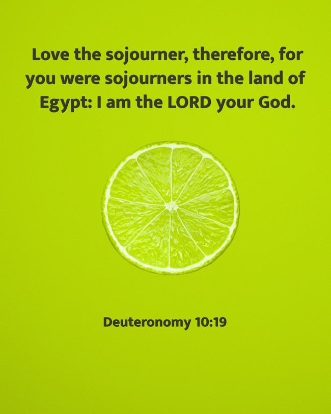 Love the sojourner, therefore, for you were sojourners in the land of Egypt: I am the LORD your God. - Deuteronomy 10:19