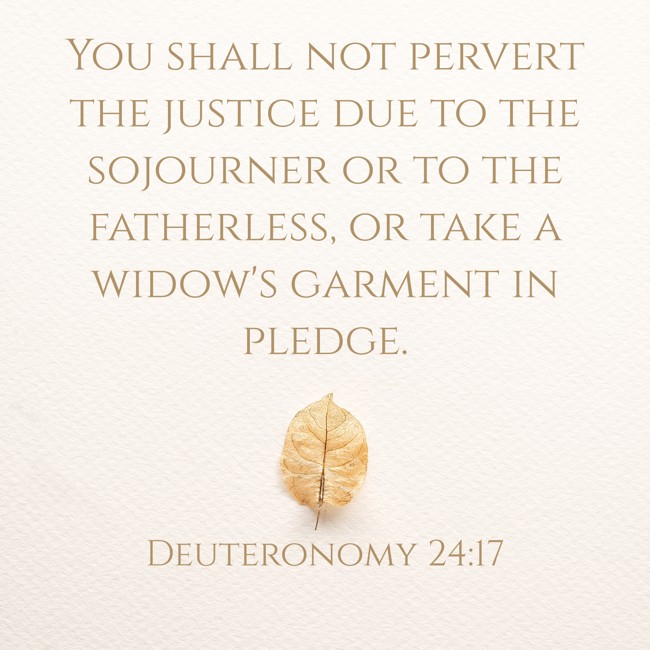You shall not pervert the justice due to the sojourner or to the fatherless, or take a widow's garment in pledge. - Deuteronomy 24:17