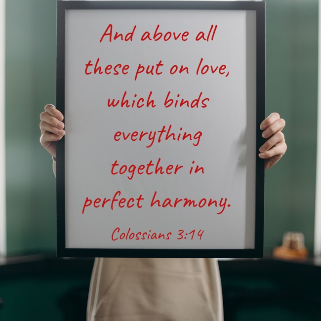 And above all these put on love, which binds everything together in perfect harmony. - Colossians 3:14
