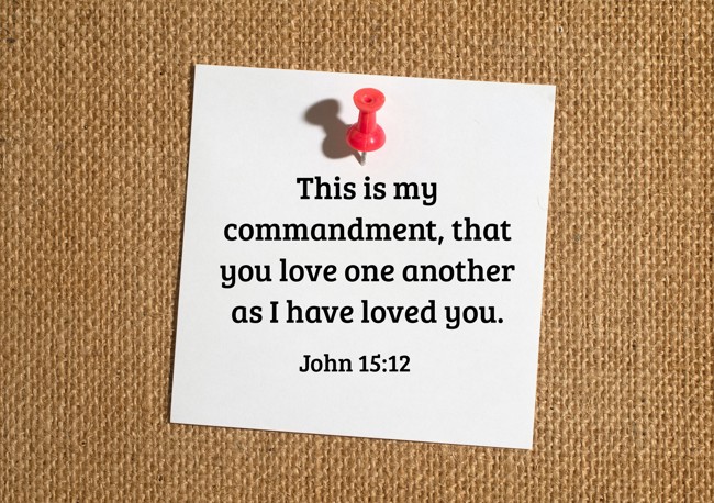 This is my commandment, that you love one another as I have loved you. - John 15:12