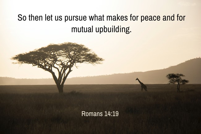So then let us pursue what makes for peace and for mutual upbuilding. - Romans 14:19