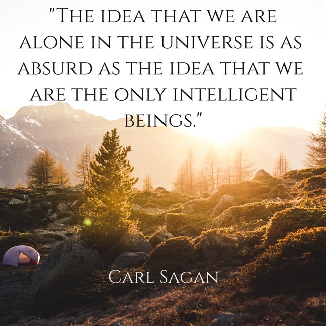 The idea that we are alone in the universe is as absurd as the idea that we are the only intelligent beings. - Carl Sagan