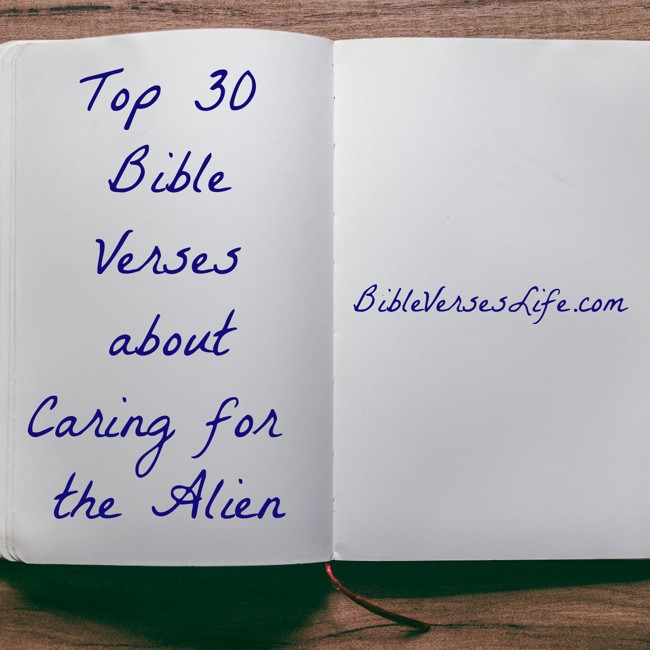 Top 30 Bible Verses about Caring for the Alien