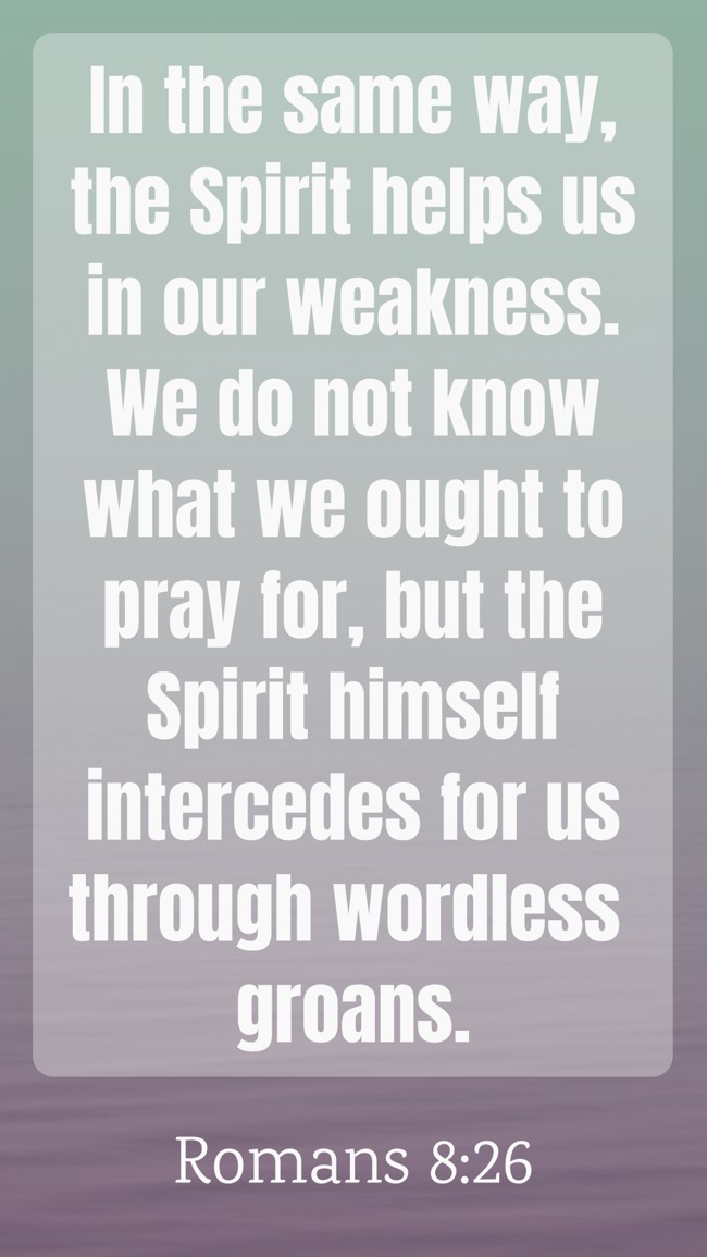 In the same way, the Spirit helps us in our weakness. We do not know what we ought to pray for, but the Spirit himself intercedes for us through wordless groans. - Romans 8:26