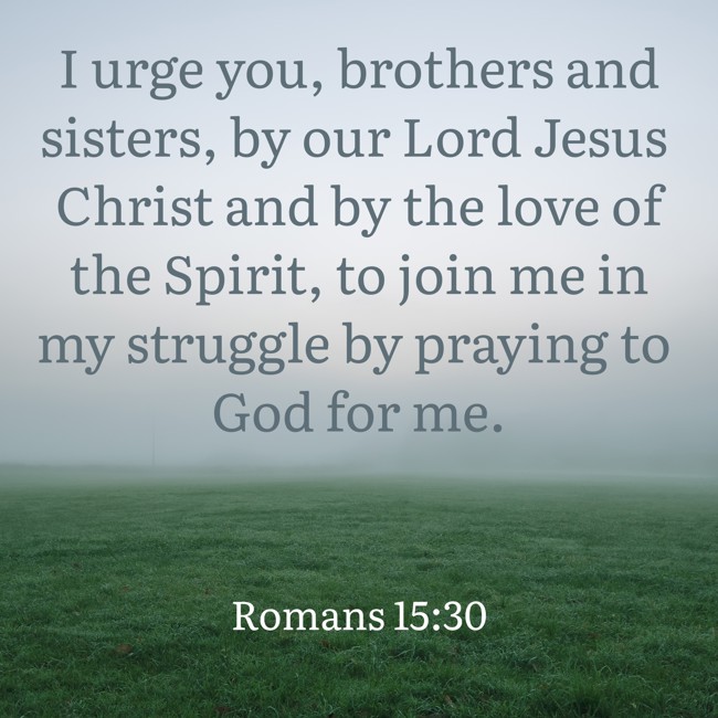 I urge you, brothers and sisters, by our Lord Jesus Christ and by the love of the Spirit, to join me in my struggle by praying to God for me. - Romans 15:30