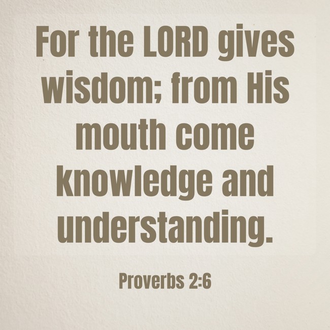 For the LORD gives wisdom; from His mouth come knowledge and understanding. - Proverbs 2:6