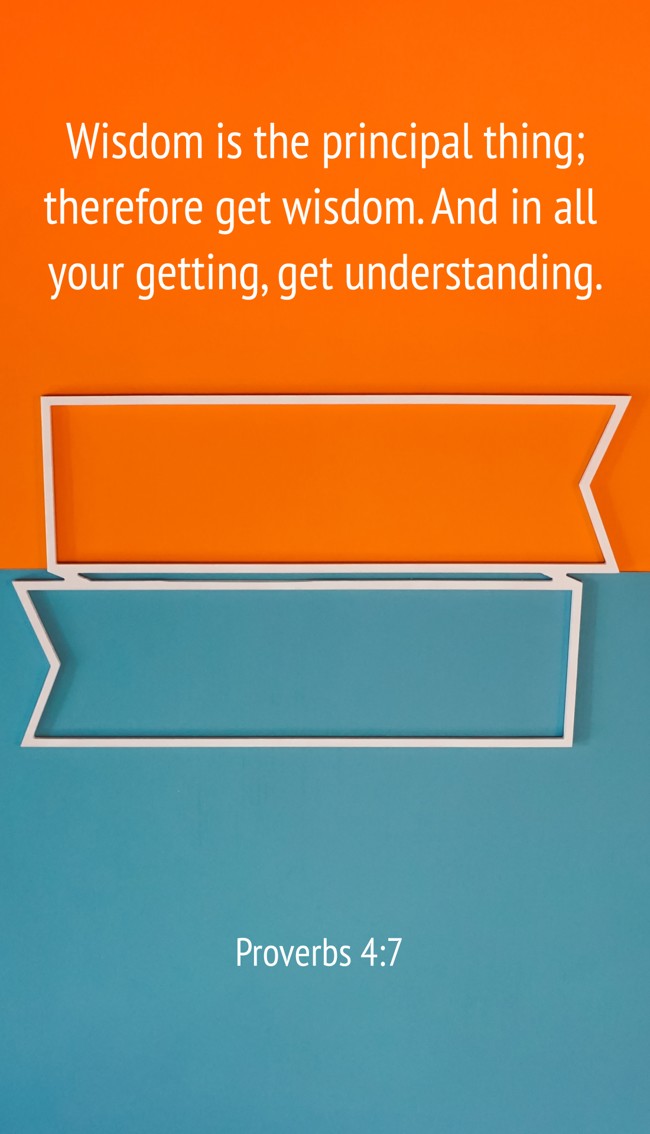 Wisdom is the principal thing; therefore get wisdom. And in all your getting, get understanding. - Proverbs 4:7