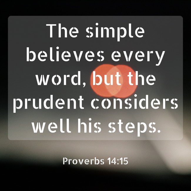 The simple believes every word, but the prudent considers well his steps. - Proverbs 14:15
