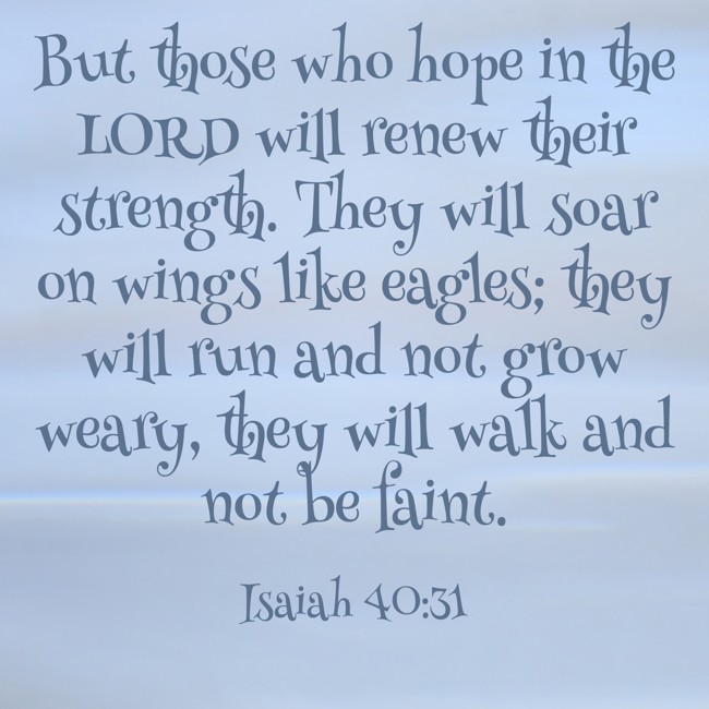 But those who hope in the LORD will renew their strength. They will soar on wings like eagles; they will run and not grow weary, they will walk and not be faint. - Isaiah 40:31