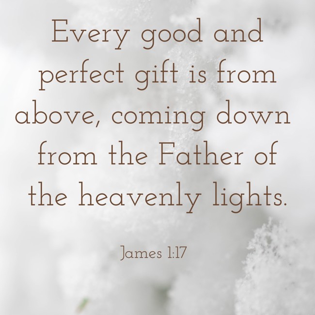 Every good and perfect gift is from above, coming down from the Father of the heavenly lights. - James 1:17