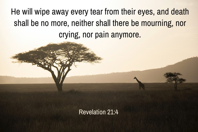 He will wipe away every tear from their eyes, and death shall be no more, neither shall there be mourning, nor crying, nor pain anymore. - Revelation 21:4