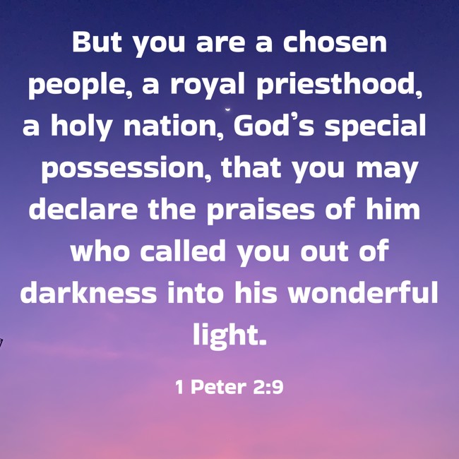 But you are a chosen people, a royal priesthood, a holy nation, God’s special possession, that you may declare the praises of him who called you out of darkness into his wonderful light. - 1 Peter 2:9