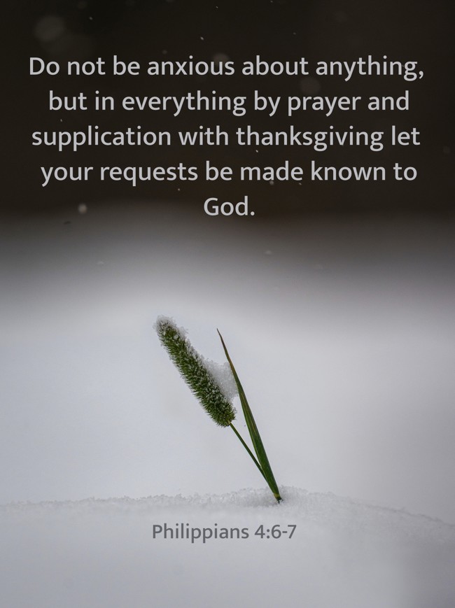 Do not be anxious about anything, but in everything by prayer and supplication with thanksgiving let your requests be made known to God. - Philippians 4:6-7