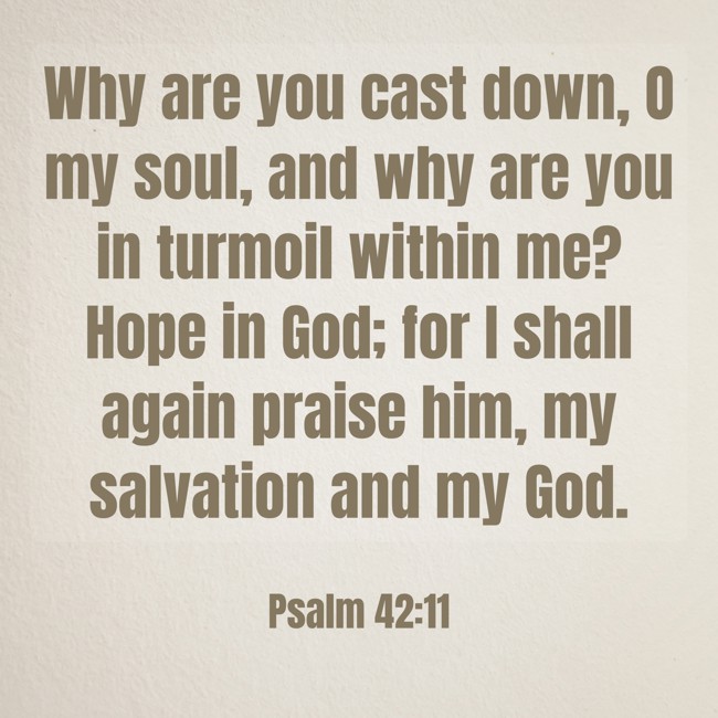 Why are you cast down, O my soul, and why are you in turmoil within me? Hope in God; for I shall again praise him, my salvation and my God. - Psalm 42:11