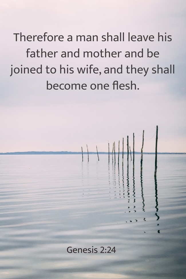 Therefore a man shall leave his father and mother and be joined to his wife, and they shall become one flesh. - Genesis 2:24