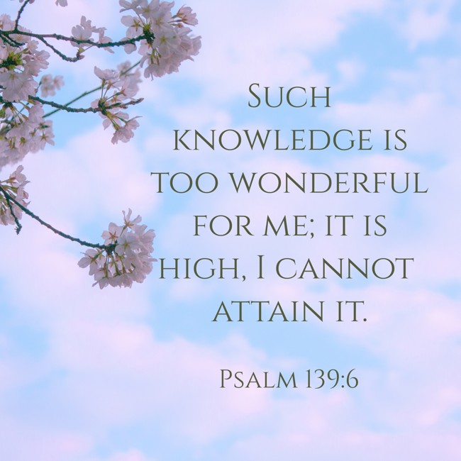 Such knowledge is too wonderful for me; it is high, I cannot attain it. - Psalm 139:6