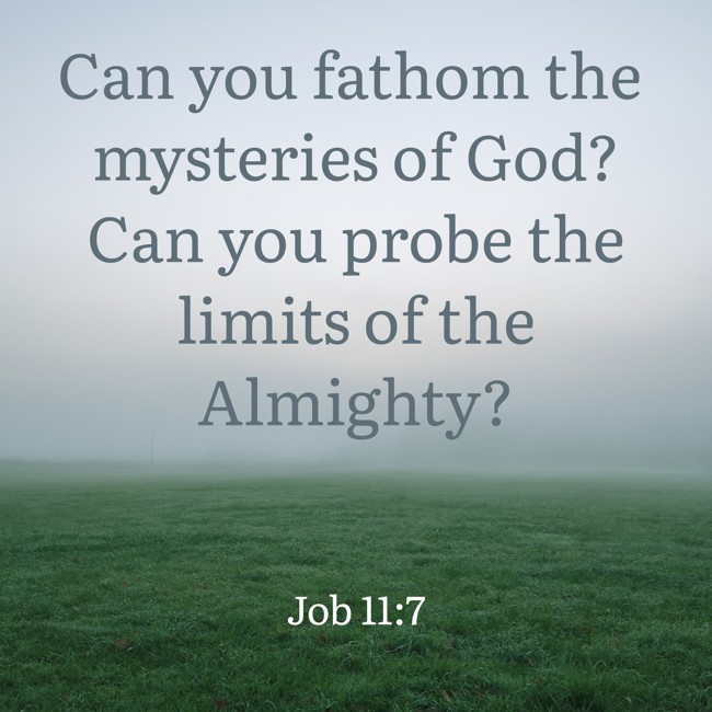 Can you fathom the mysteries of God? Can you probe the limits of the Almighty? - Job 11:7