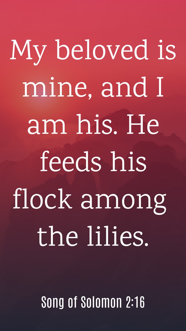 My beloved is mine, and I am his. He feeds his flock among the lilies. - Song of Solomon 2:16