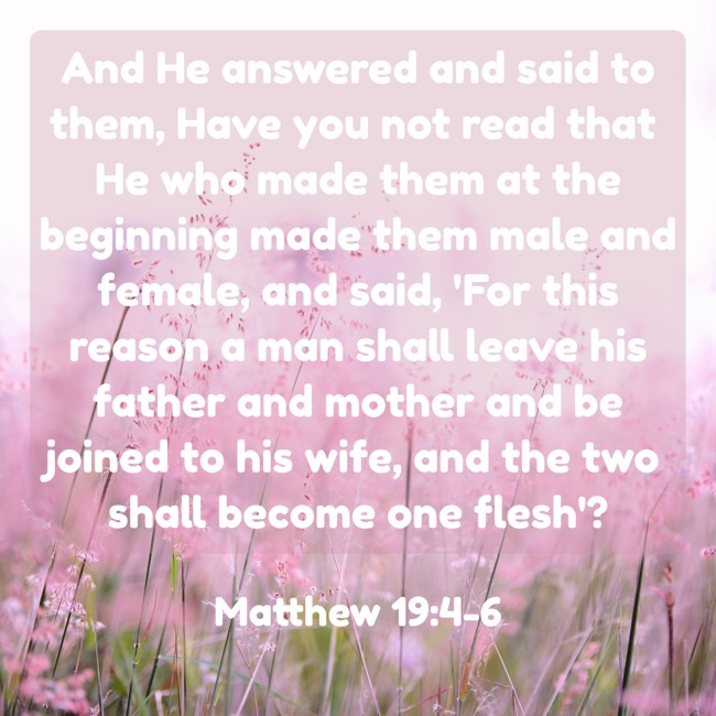 And He answered and said to them, Have you not read that He who made them at the beginning made them male and female, and said, 'For this reason a man shall leave his father and mother and be joined to his wife, and the two shall become one flesh'? - Matthew 19:4-6