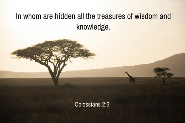 In whom are hidden all the treasures of wisdom and knowledge. - Colossians 2:3