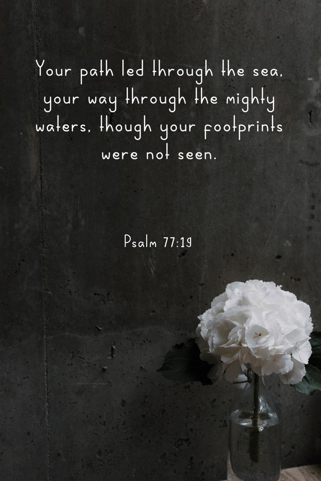 Your path led through the sea, your way through the mighty waters, though your footprints were not seen. - Psalm 77:19