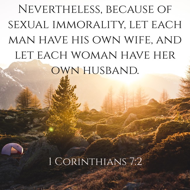 Nevertheless, because of sexual immorality, let each man have his own wife, and let each woman have her own husband. - 1 Corinthians 7:2