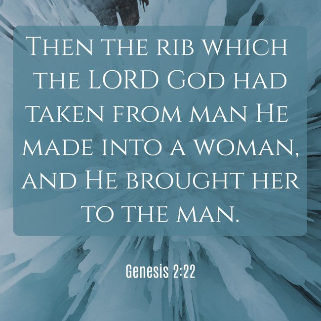 Then the rib which the LORD God had taken from man He made into a woman, and He brought her to the man. - Genesis 2:22