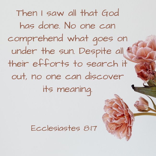 Then I saw all that God has done. No one can comprehend what goes on under the sun. Despite all their efforts to search it out, no one can discover its meaning. - Ecclesiastes 8:17