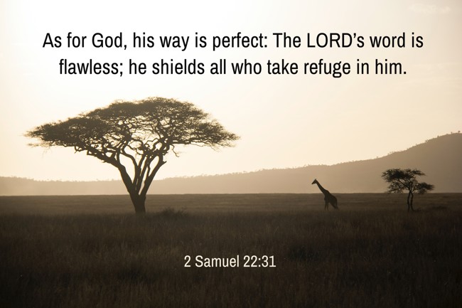 As for God, his way is perfect: The LORD’s word is flawless; he shields all who take refuge in him. - 2 Samuel 22:31